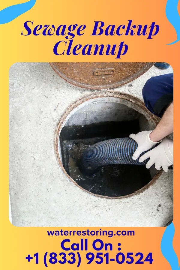 Sewage Backup Cleanup in Dawson, GA