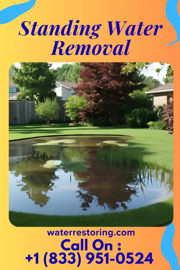 Standing Water Removal in Dawson, GA
